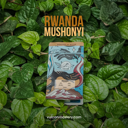 Rwanda Mushonyi 250 G -VULCAN ROASTERY